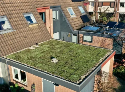 Groen dak