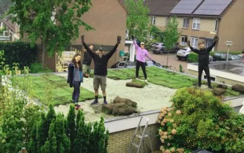Mensen die een groen dak aanleggen