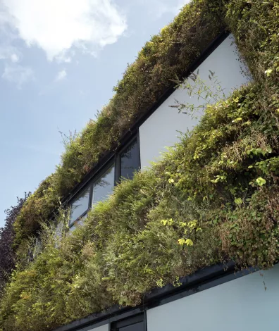 Groene muren op bedrijventerrein Burgweg