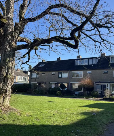 Foto van een grasveld, oude boom en rijwoningen aan de Lindelaan in Leusden