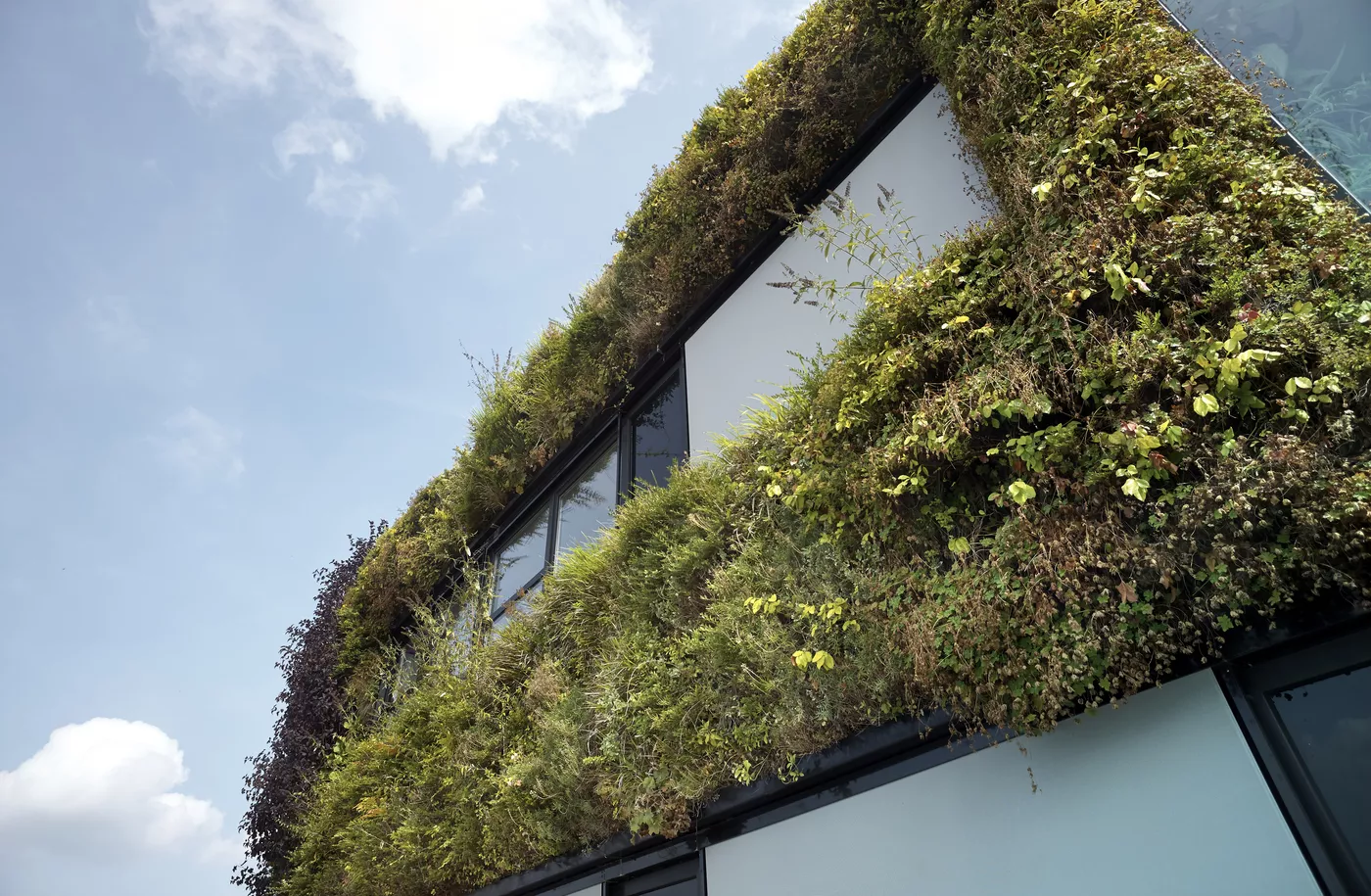 Groene muren op bedrijventerrein Burgweg