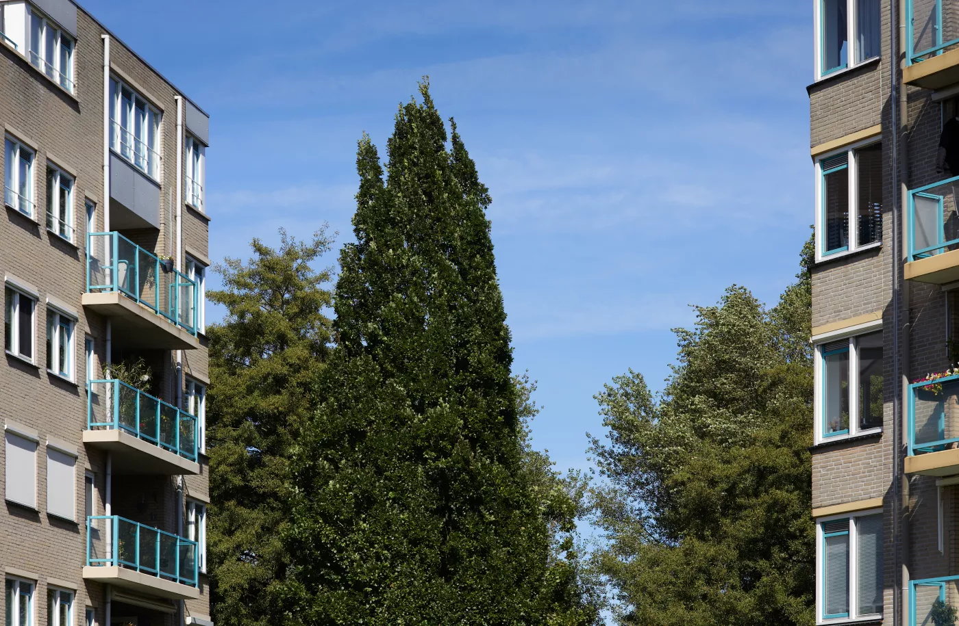 Appartementen complex VvE eigenaren