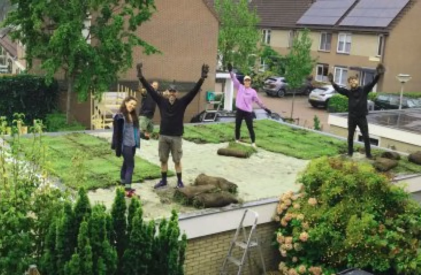 Mensen die een groen dak aanleggen