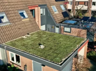 Groen dak