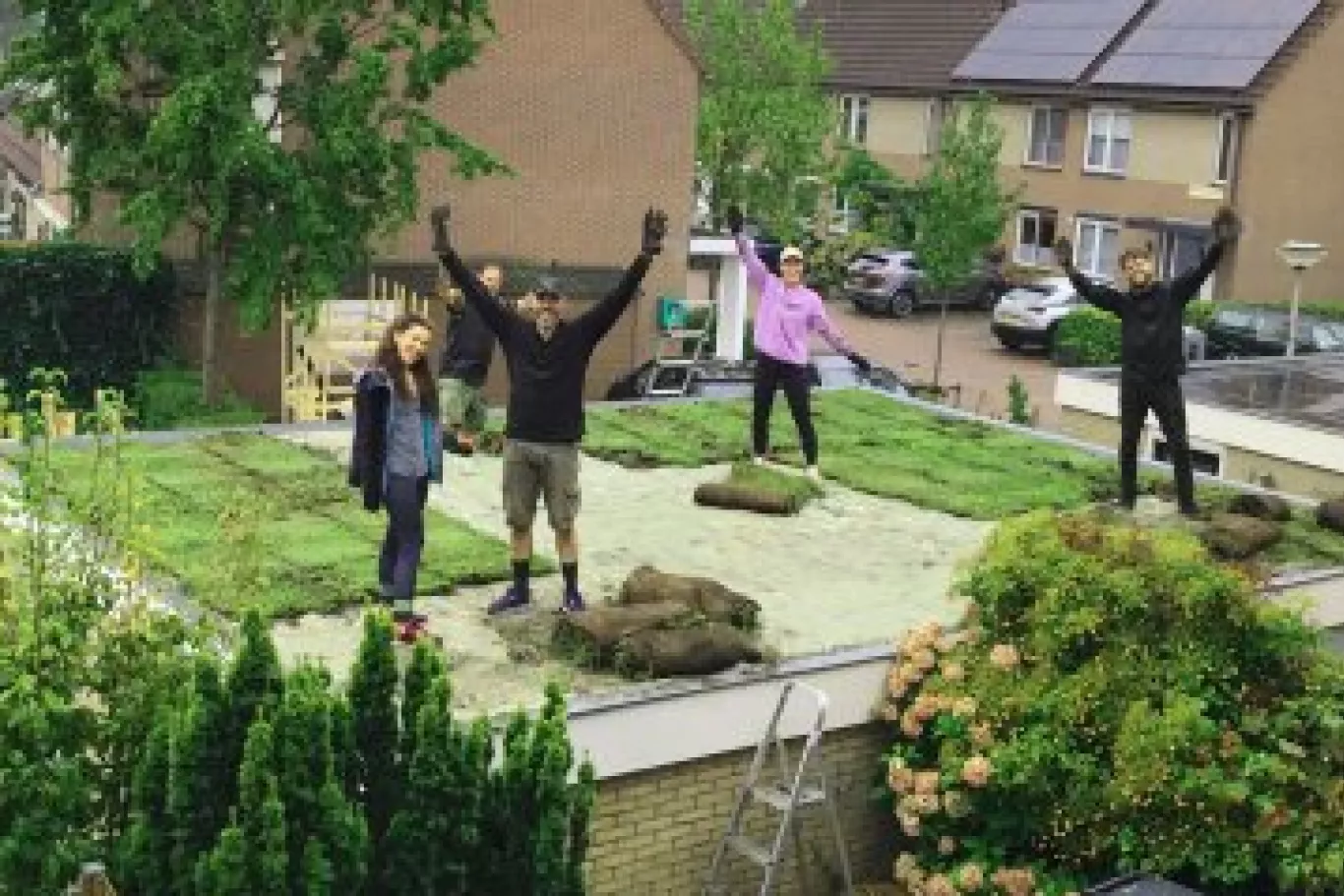 Mensen die een groen dak aanleggen